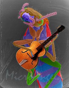 Termite with Guitar
